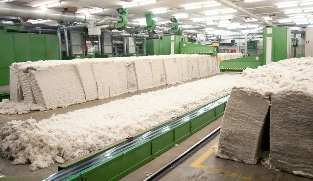 cotton production into fabric