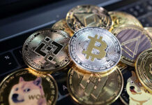 How to Cherry-Pick the Best Cryptocurrencies for Long-Term Investment