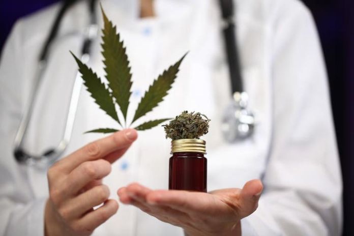 doctors with legal medical cannabis