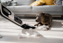 How to Keep Your Home Spotless with Pets Around – 3 Tips to Know